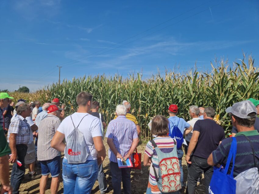 Sperimentazione e Telecer al centro del Pignatelli Day